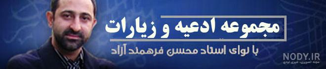 مرگ محسن فرهمند مرگ محسن فرهمند