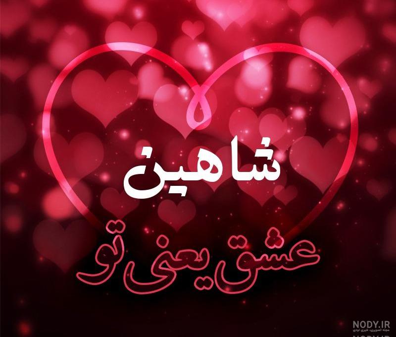 پرنده شکاری گونه نماینده