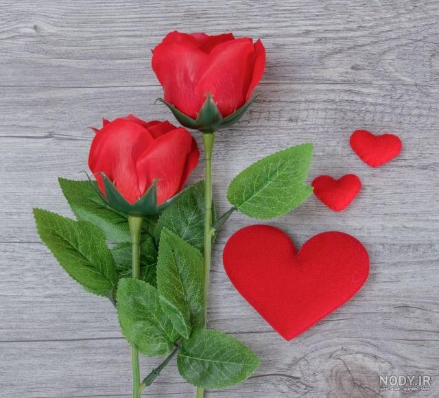 عکس قلب زیبا عکس قلب زیبا