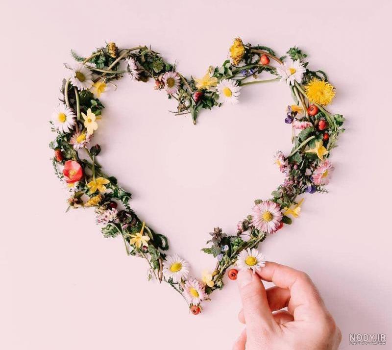 عکس قلب نقاشی عکس قلب نقاشی