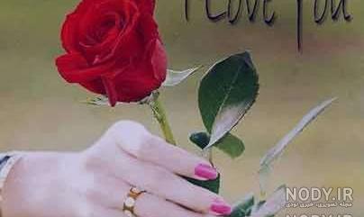 عکس گل عکس گل