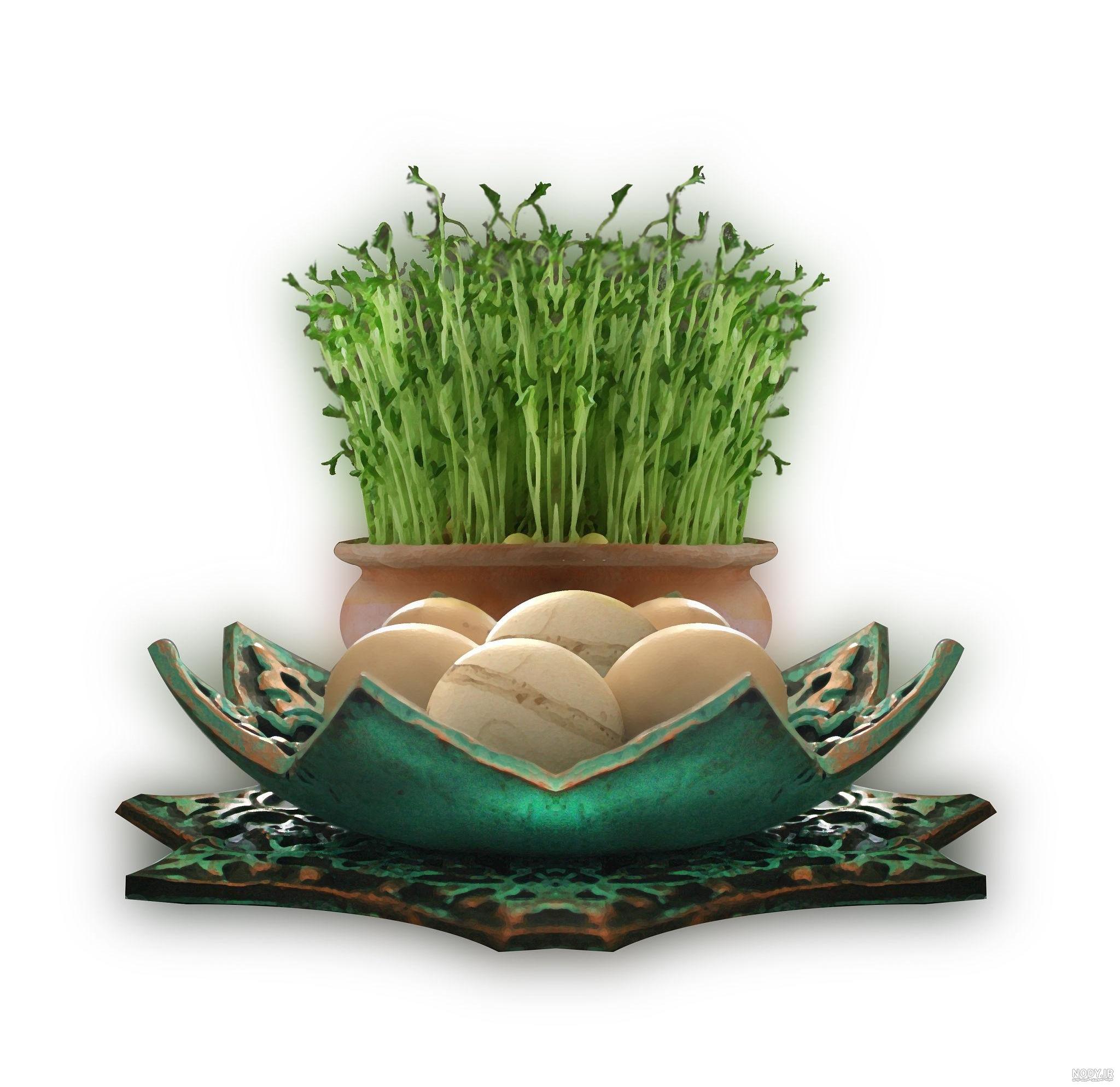انواع سبزه عید