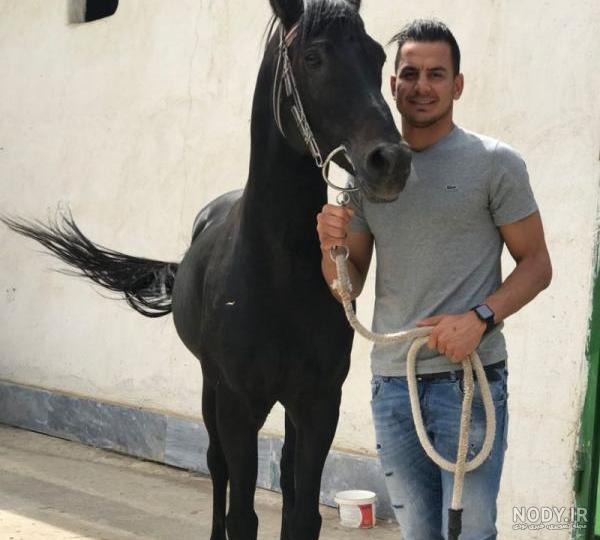 بیوگرافی حامد لک اهل کجاست