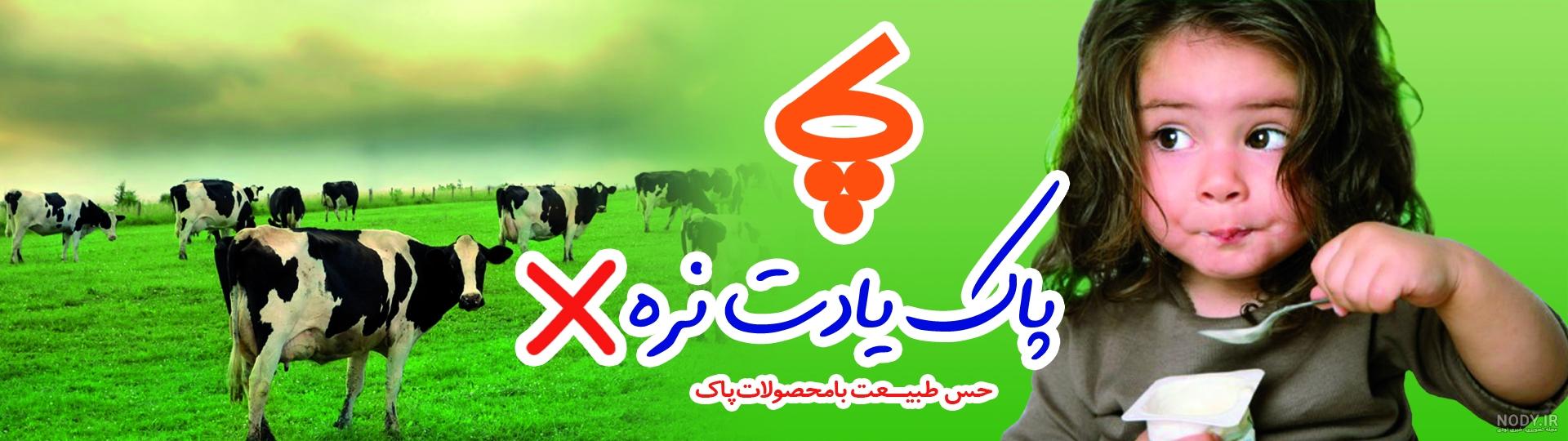 تبلیغ پنیر صباح افغانی تبلیغ پنیر صباح افغانی