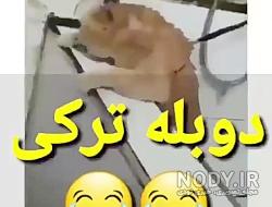 تصاویر خنده دار ترکی