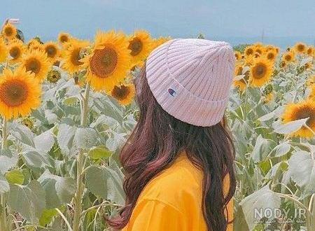 تصویر زمینه زرد اچ دی تصویر زمینه زرد اچ دی