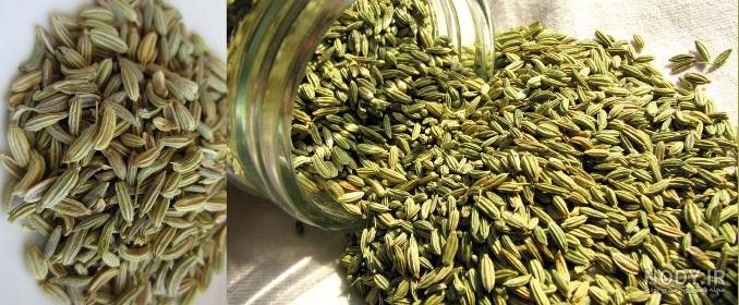 خواص ترکیب دمنوش رازیانه با عسل خواص ترکیب دمنوش رازیانه با عسل