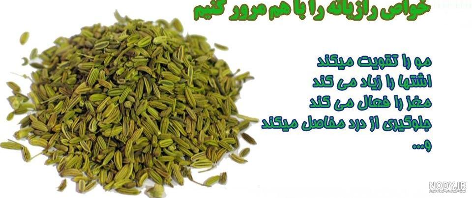 خواص رازیانه برای اسپرم خواص رازیانه برای اسپرم