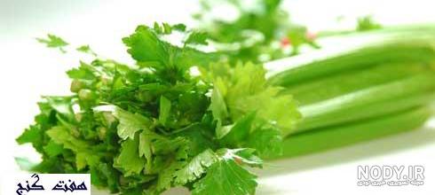 خواص کرفس برای پوست خواص کرفس برای پوست