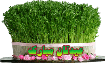 سبزه برنج برای عید