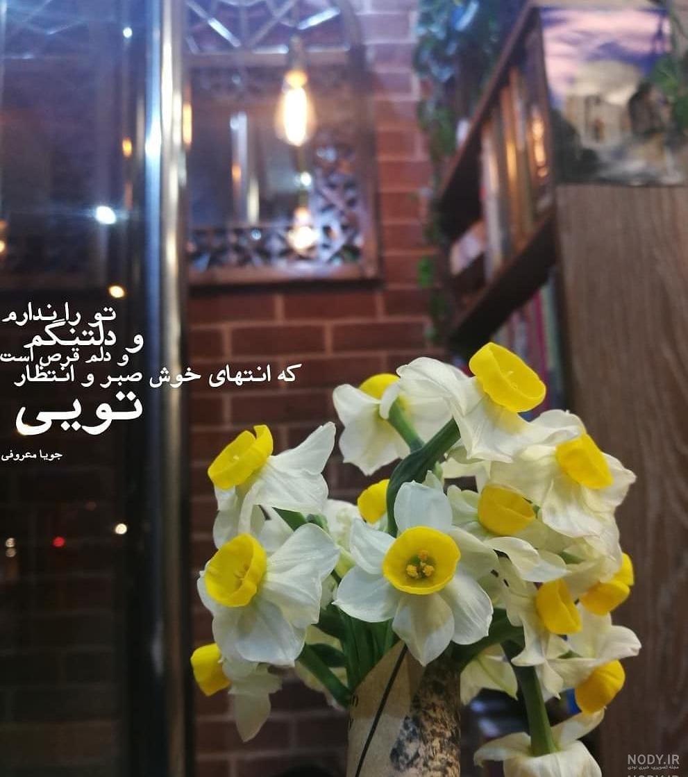 شعر عطر گل نرگس