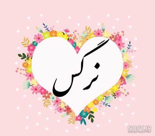 شعر نرگس شاملو شعر نرگس شاملو