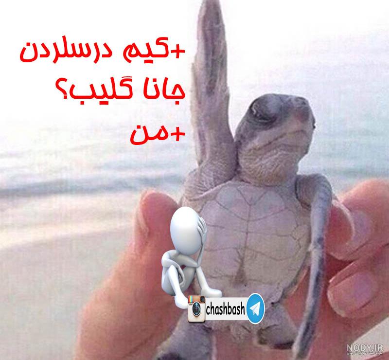 عکس خنده دار برای پروفایل گروه