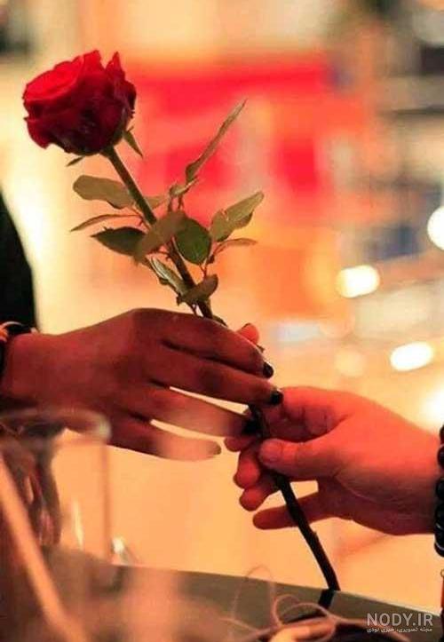 عکس دونفره گل دادن عکس دونفره گل دادن