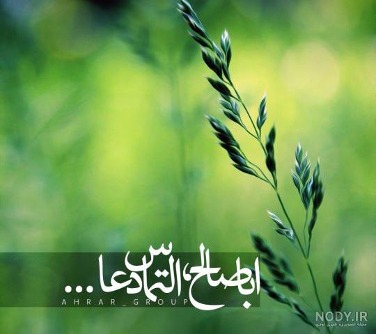 عکس دیده شدن امام زمان