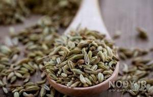 عکس رازیانه عکس رازیانه