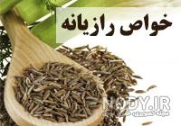 عکس رازیانه و خواص آن عکس رازیانه و خواص آن