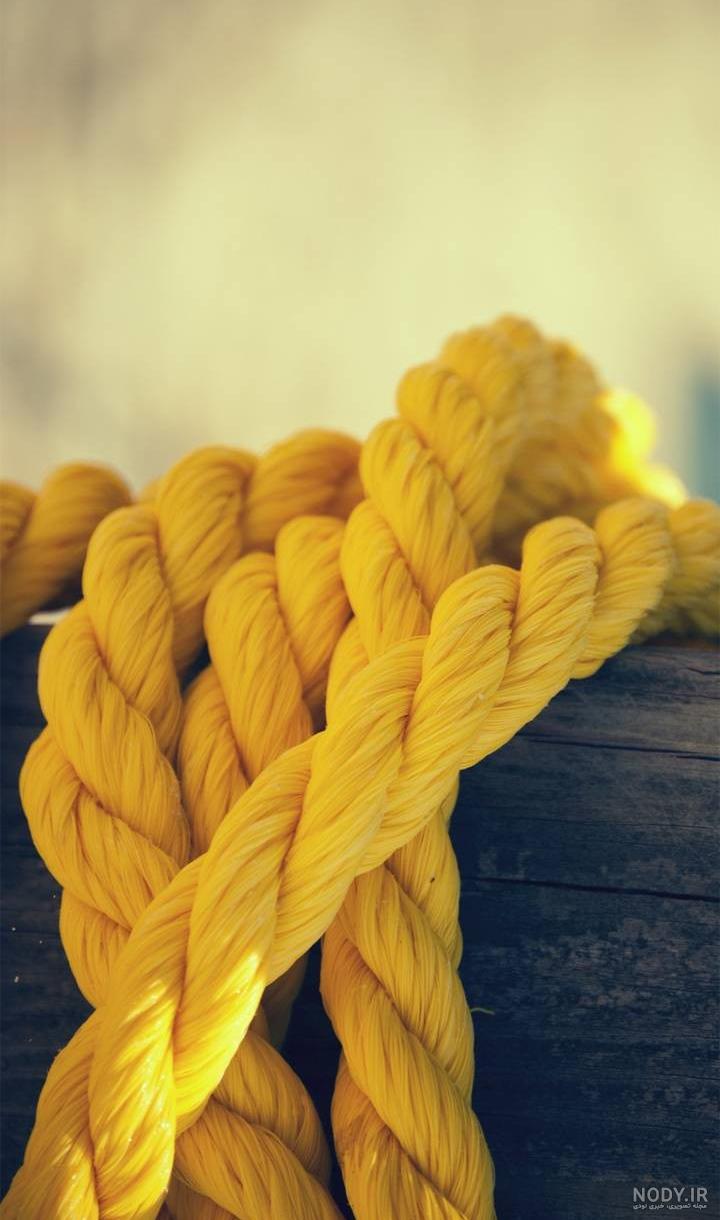 عکس زرد ساده عکس زرد ساده