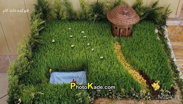 عکس سبزه گندم