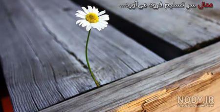عکس نوشته امید به خدا عکس نوشته امید به خدا