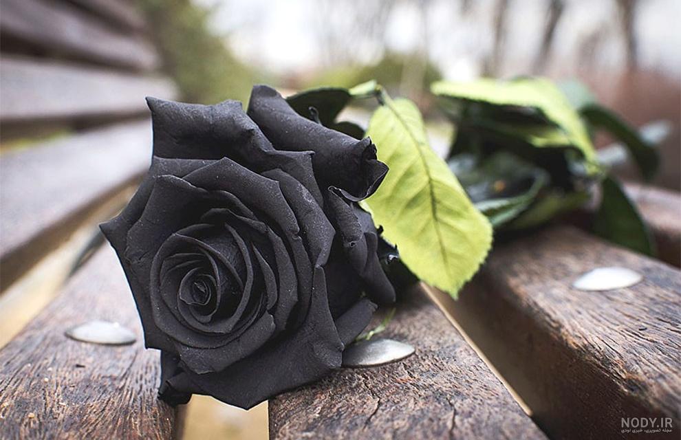 عکس نوشته تنهایی و دلگیری