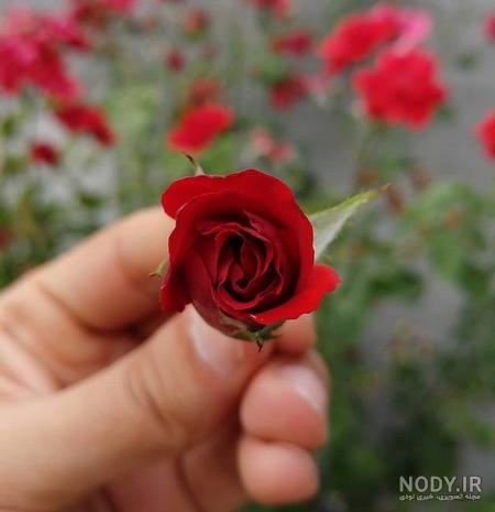عکس نوشته تنهایی و گله عکس نوشته تنهایی و گله