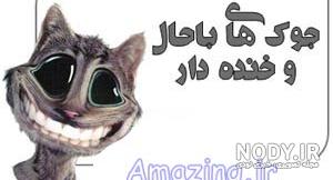 عکس پروفایل خنده دار دخترانه