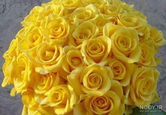 عکس پروفایل زرد دخترانه عکس پروفایل زرد دخترانه