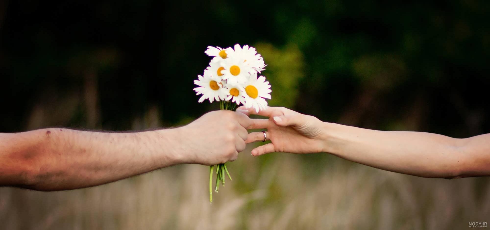 عکس گل برای پروفایل اینستا عکس گل برای پروفایل اینستا