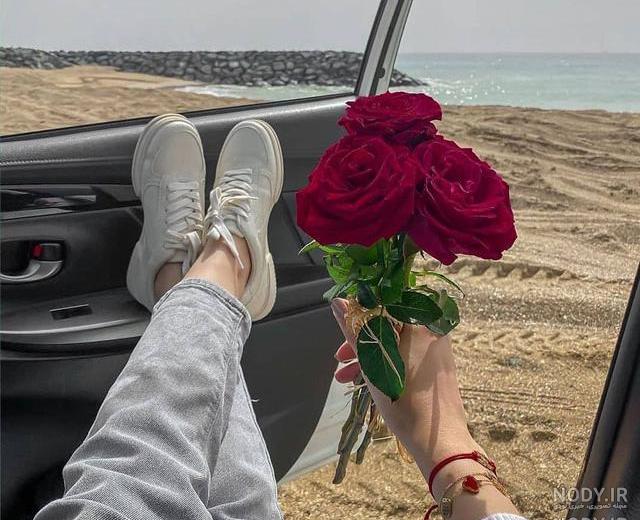 عکس گل رز تو ماشین