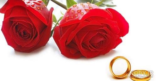 عکس گل طبیعی