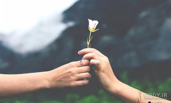 عکس گل طبیعی عکس گل طبیعی