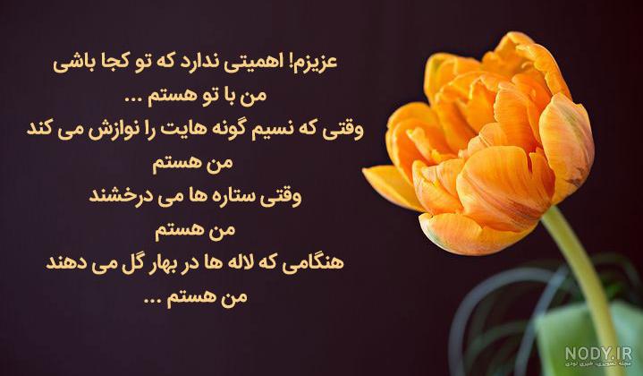 عکس گل لاله شهیدان