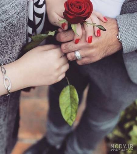 عکس گل و بلبل برای پروفایل عکس گل و بلبل برای پروفایل