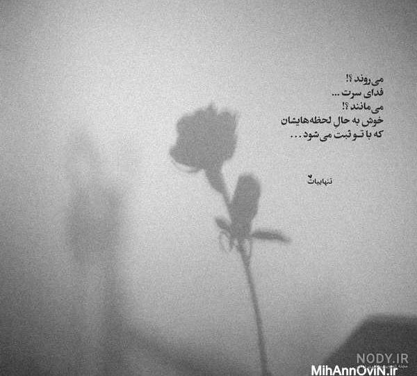 عکس گلهای بسیار زیبای جهان عکس گلهای بسیار زیبای جهان
