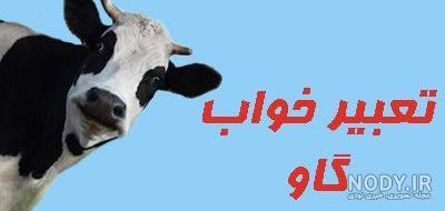 فروش گوساله شیرخوار دیوار فروش گوساله شیرخوار دیوار