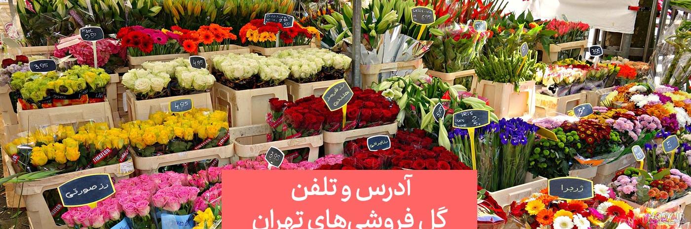 قیمت باکس گل نوزادی قیمت باکس گل نوزادی