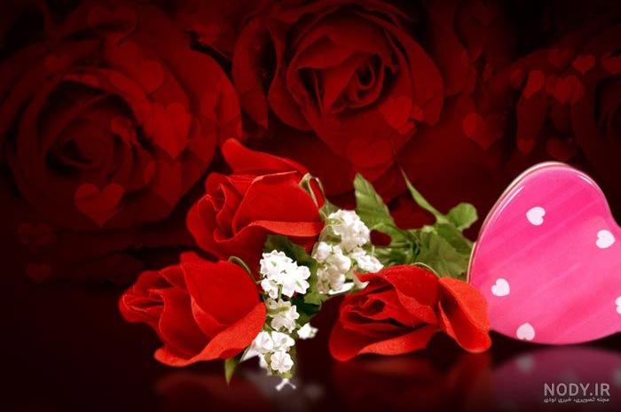 منظره عکس گل برای پروفایل واتساپ