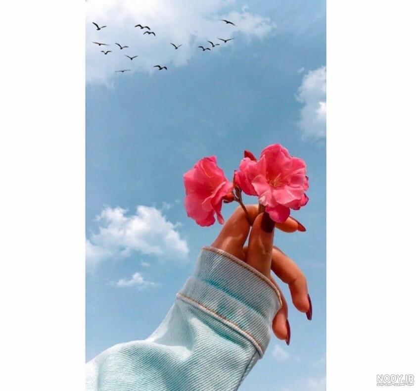 پروفایل رهایی بدون متن