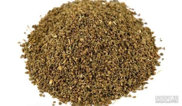 چگونه اب کرفس را برای لاغری بخوریم چگونه اب کرفس را برای لاغری بخوریم