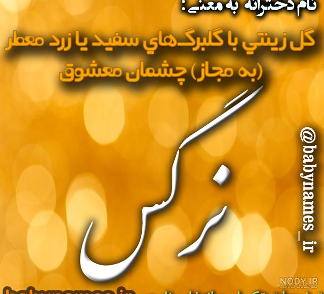 کلیپ تولدت مبارک نرگس جان کلیپ تولدت مبارک نرگس جان