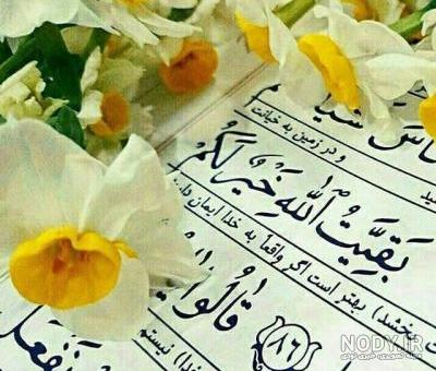 گل نرگس امام زمان شعر