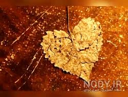عکس های لخته عاشقانه آپارات