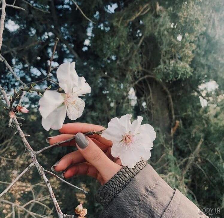 عکس پروفایل بهاری دخترانه جدید عکس پروفایل بهاری دخترانه جدید