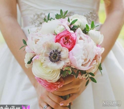 عکس گل عروس طبیعی عکس گل عروس طبیعی