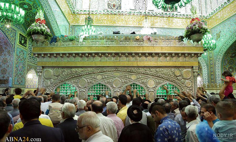 عکس حرم امام رضا با کبوتر
