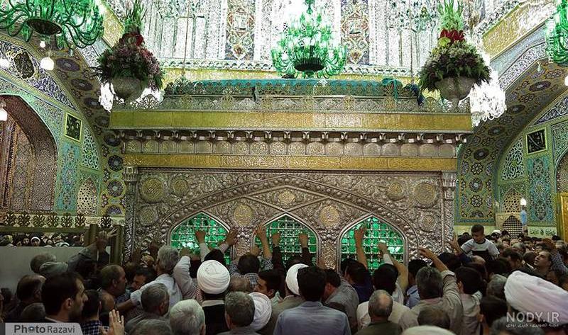 عکس حرم امام رضا با کبوتر