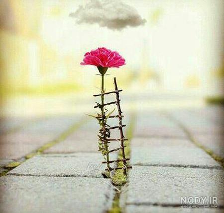 عکس خفن عکس های مفهومی برای پروفایل