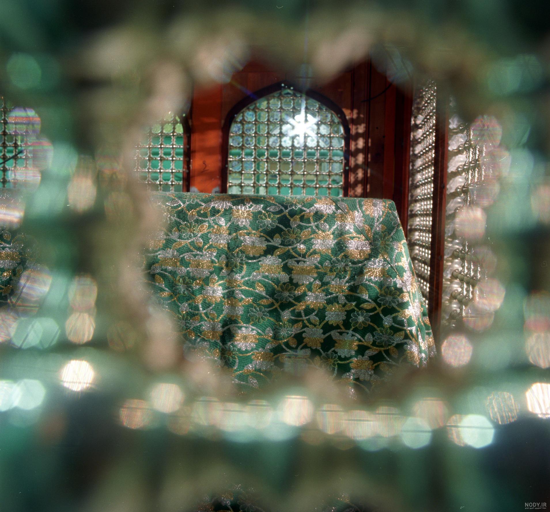 عکس حرم امام رضا با کبوتر