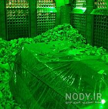 عکس حرم امام رضا با کبوتر